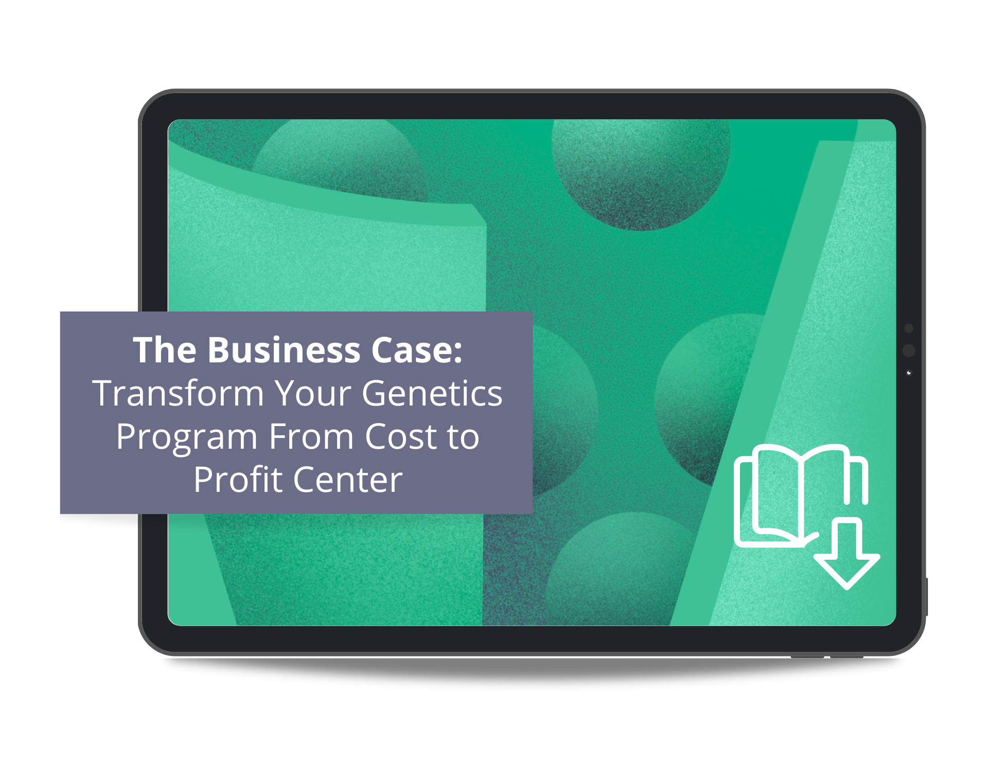 eBook Mockup - The Business Case